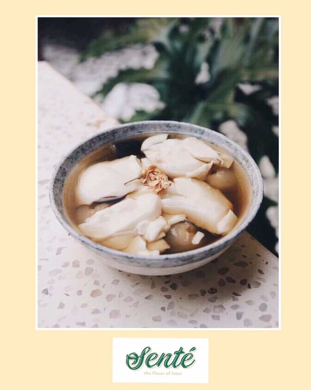 ? TÀO PHỚ NƯỚC SEN