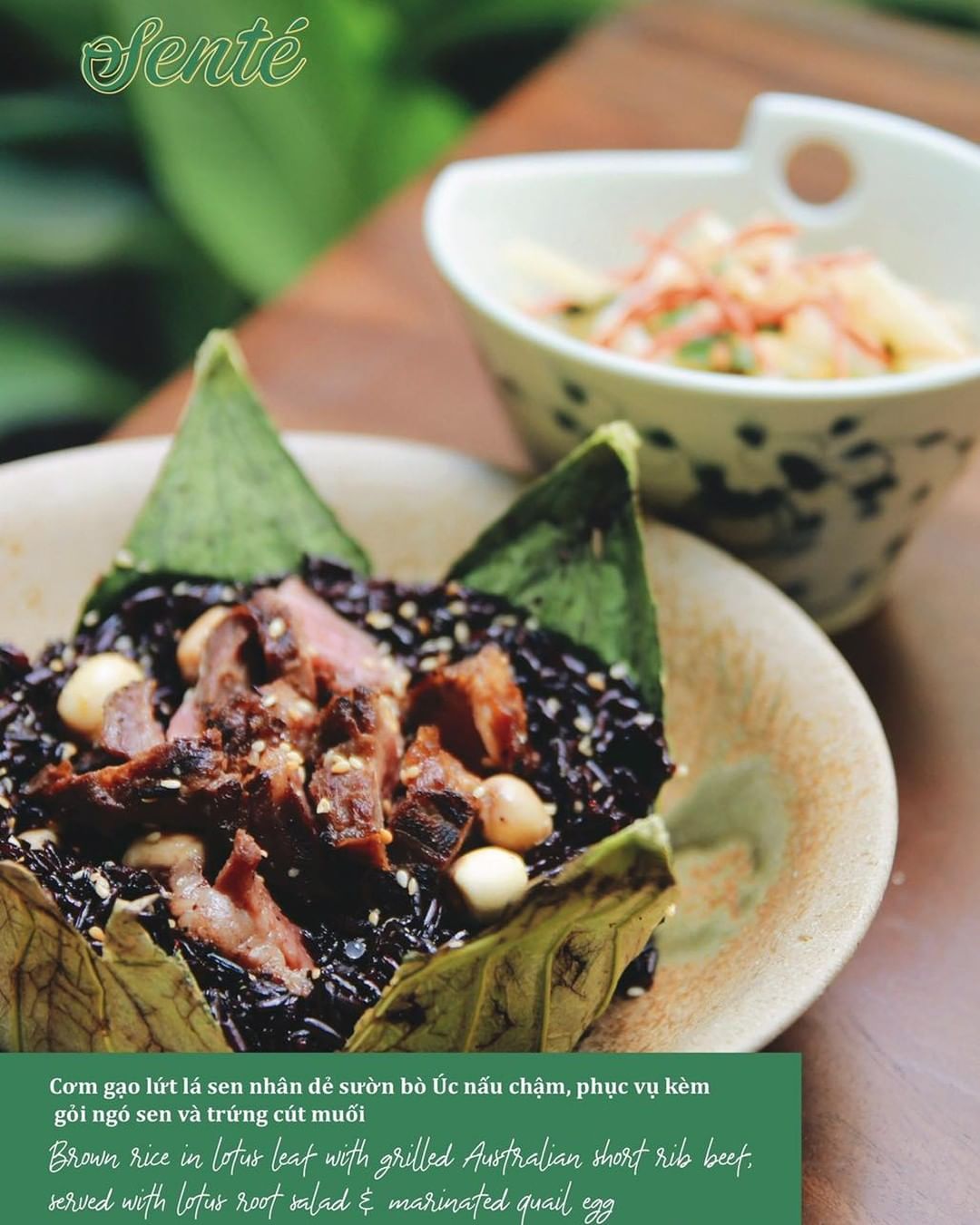 “Ngồi trong bóng râm vào một ngày nắng đẹp và nhìn ngắm cây cỏ xanh tươi là sự tĩnh dưỡng hoàn hảo nhất.”- Jane Austen